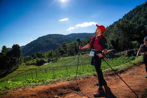 BIB: 
                            <button type="button" onclick="openModal(19187606)" class="btn btn-primary btn-sm float-right btn-popup" data-toggle="modal" data-target=".modal-high-quality">
                        <i class="fas fa-shopping-cart"></i> Add to Cart
                    </button>
                                            <button type="button" onclick="isThisMe(19187606, true)" class="btn btn-success btn-sm float-right btn-popup btn-isme hidden" data-toggle="tooltip" data-placement="bottom" title="นี่คือรูปของคุณใช่ไหม คลิกที่นี่เพื่อเอาเข้าอัลบั้ม">
                        <i class="fas fa-plus"></i> Add to album
                    </button>
                    <button type="button" onclick="isThisMe(19187606, false)" class="btn btn-warning btn-sm float-right btn-popup btn-isnotme hidden">
                        <i class="fas fa-ban"></i> Remove from album
                    </button>